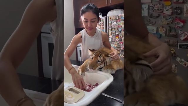 Только не надо говорить, что у меня нет чувств! Я, например, чувствую голод!
