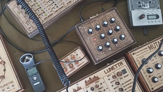 Pelengator FX