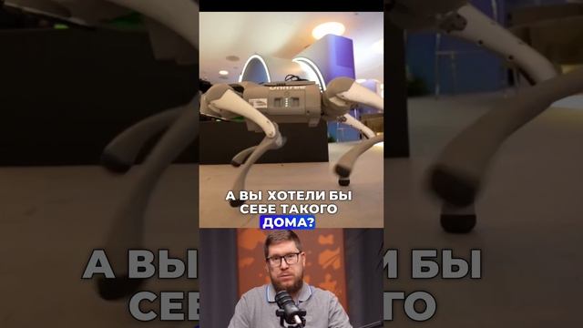 🤖 Робот-собака осваивает паркур!