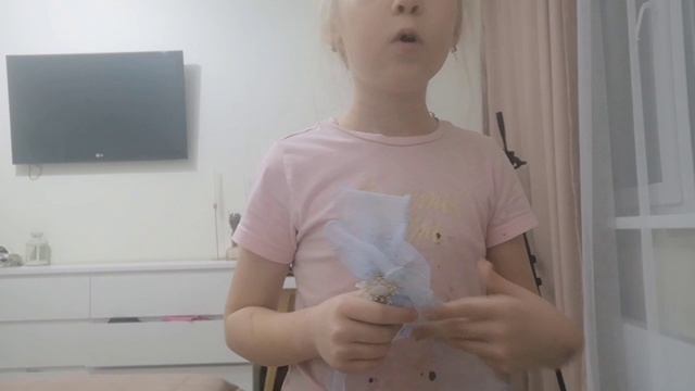 lv_0_20241222212022.mp4