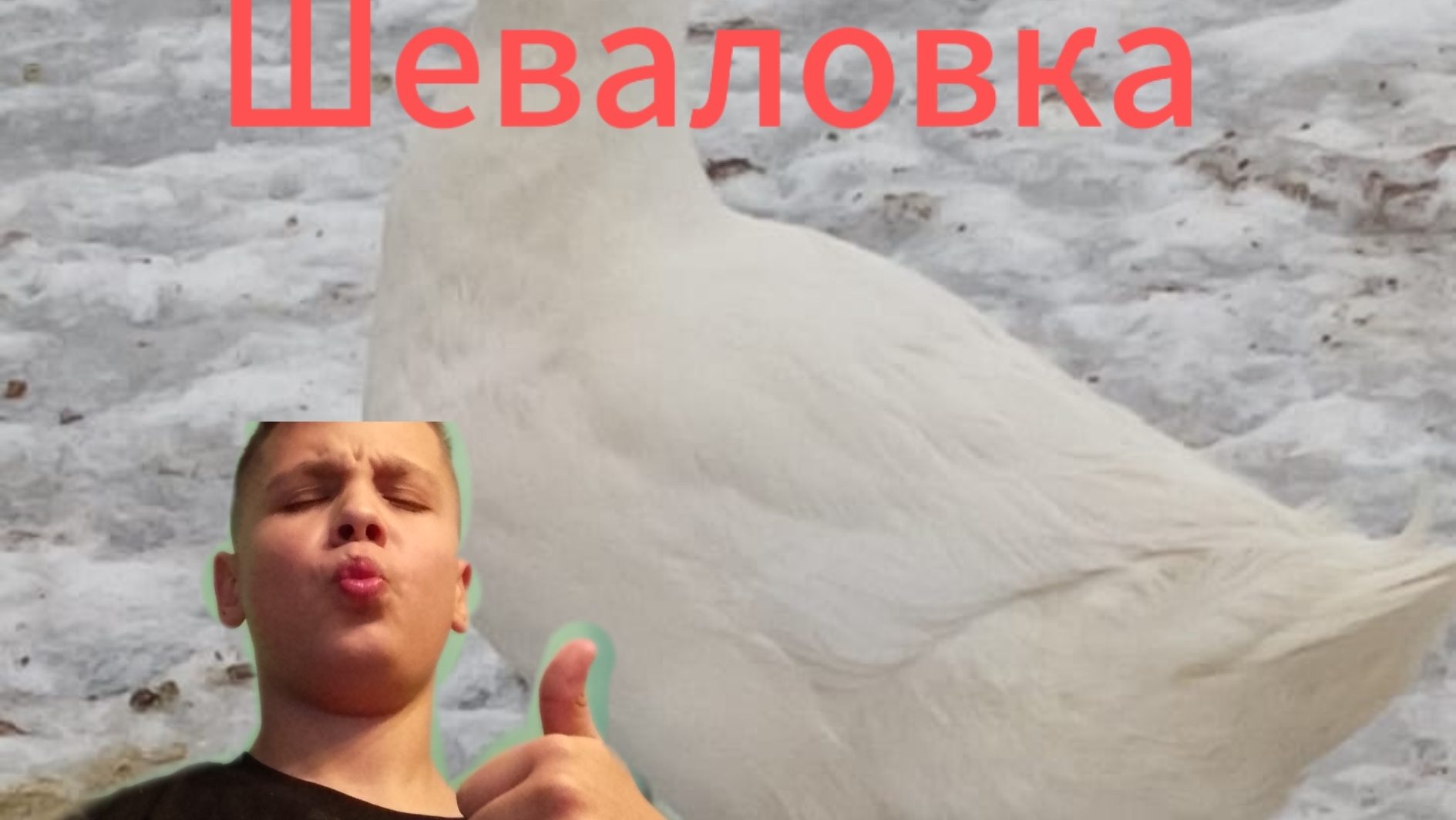 Экскурсия в Шеваловку