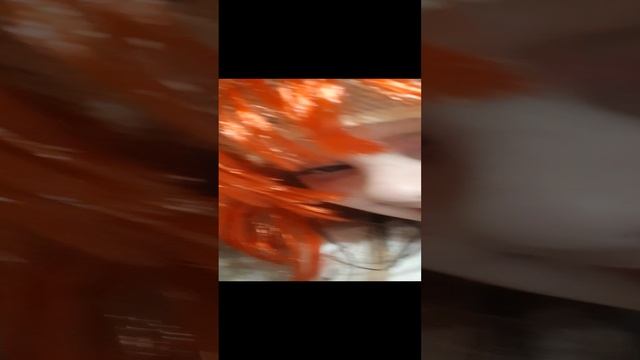 хахахахахв