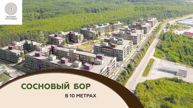 Экопарк сосновый