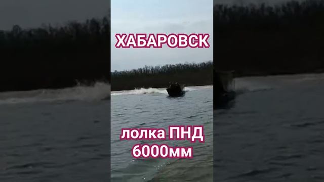 лодка ПНД. Чукен 6000, сузуки 60, прямоток.