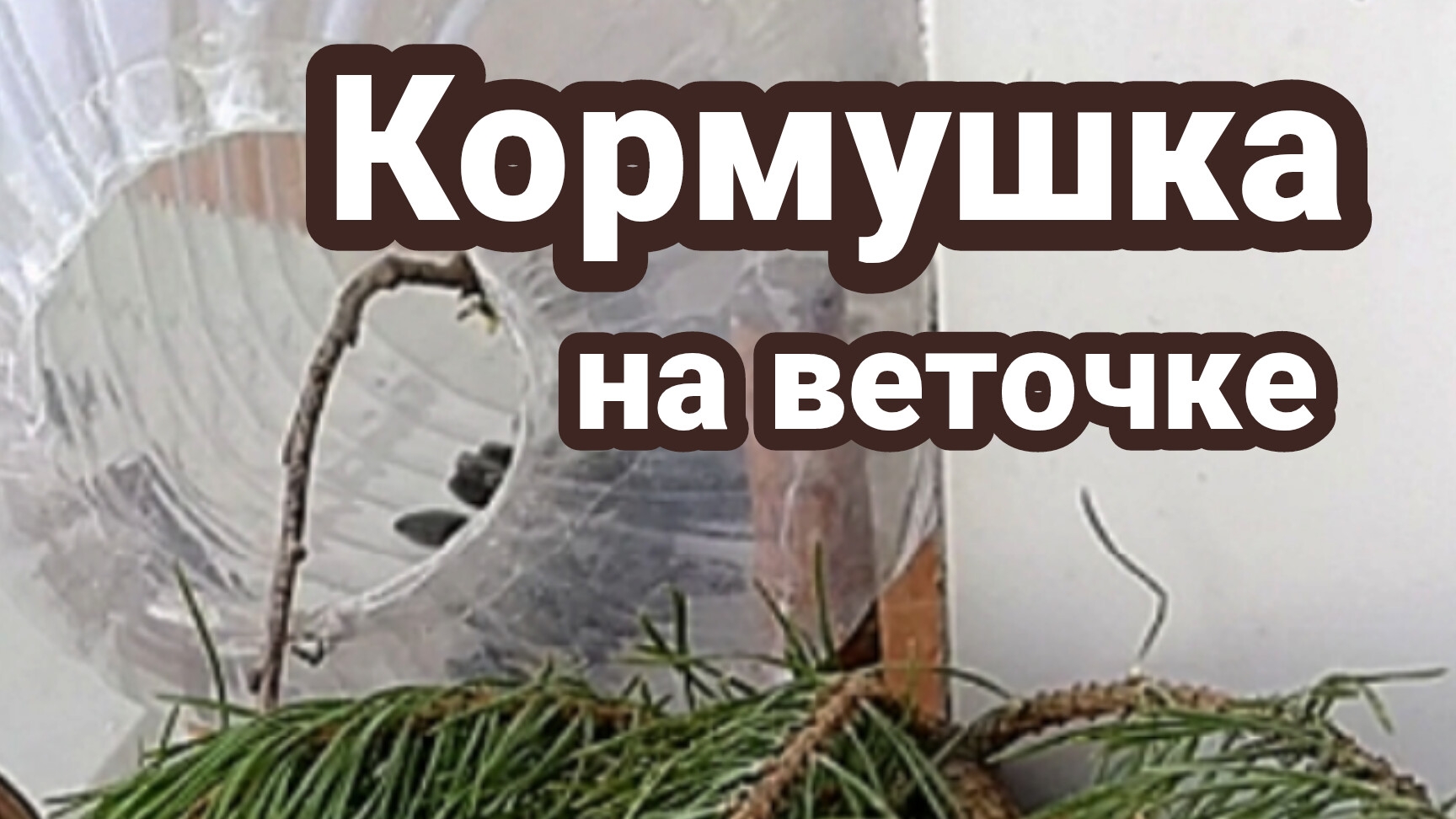 Кормушка на веточке