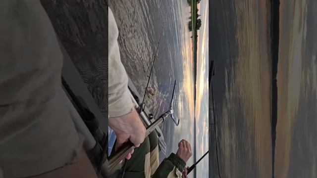 Первого припарковали!