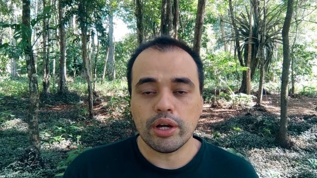GK G1 - Bonzinho, bonitinho e baratinho (Review Express #84)