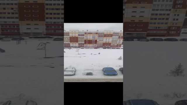 халодэо