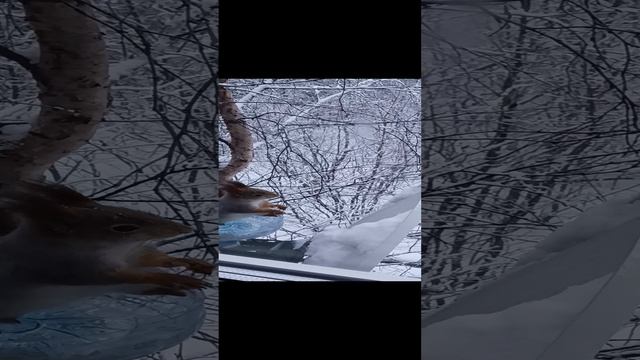 1000038251.mp4