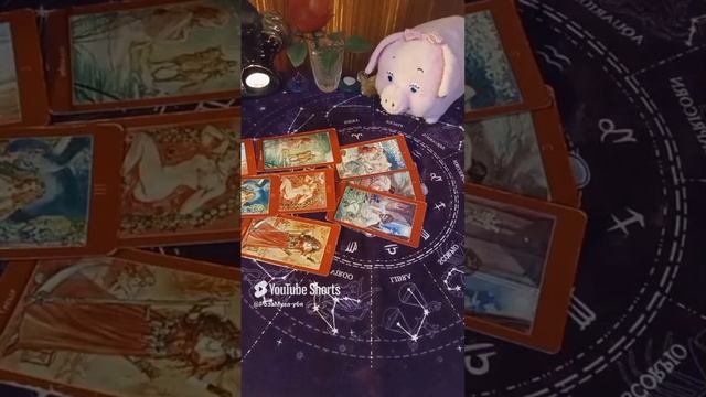 ПО ПОЛНОЙ ПРОГРАММЕ
