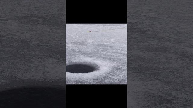 1000008642.mp4