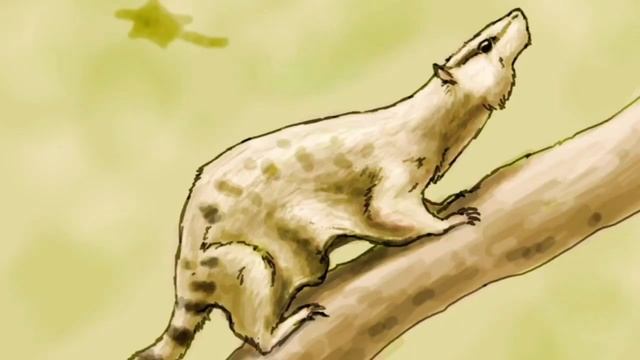Волатикотерий - "летающий зверь"