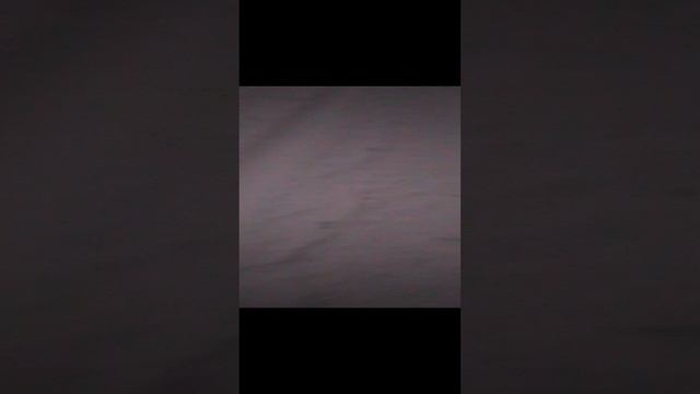 1000023021.mp4