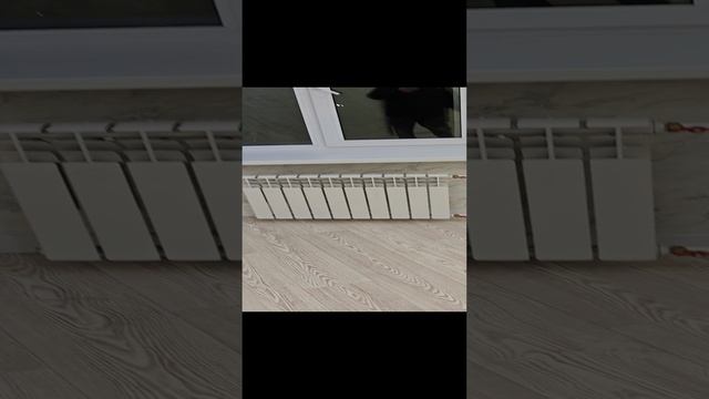 1000032965.mp4