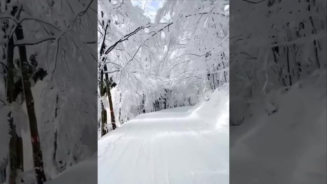 Зимняя сказка в горах Апусени