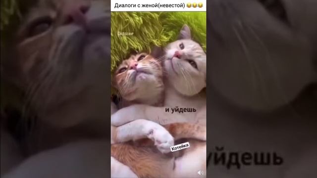 типичное поведение женщин