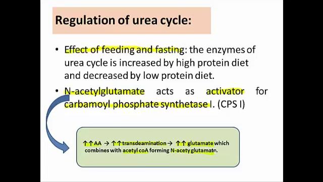Catabolism pf A.A. Part 2