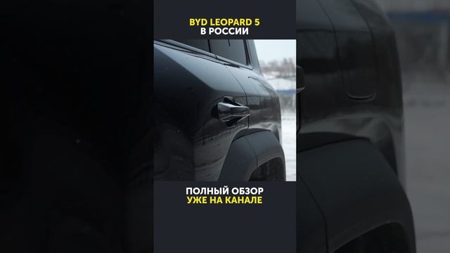 Разогнать 3,5 тонны за 4,8 секунды и не остановить? BYD LEOPARD 5 / Леопард 5