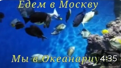 Едем в Москву.Мы в Океанариуме!!!