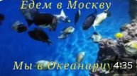 Едем в Москву.Мы в Океанариуме!!!