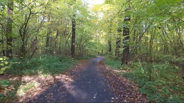 АСМР  Осень, листья, шепот, музыка 8 D | ASMR Autumn , leaves, whisper, trigger