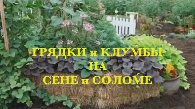 ГРЯДКИ и КЛУМБЫ на СЕНЕ и СОЛОМЕ. Высокие тёплые грядки. КЛУМБЫ. Beds on straw.