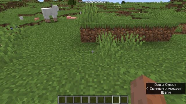 бью животных