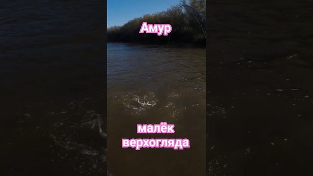 Дальний Восток  #tiktok