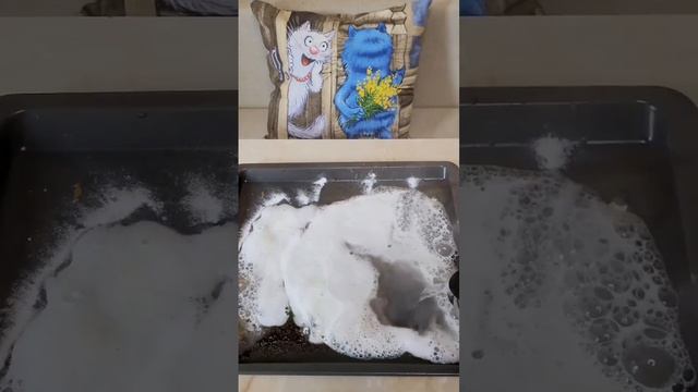 С легкостью отмываем противень🧴