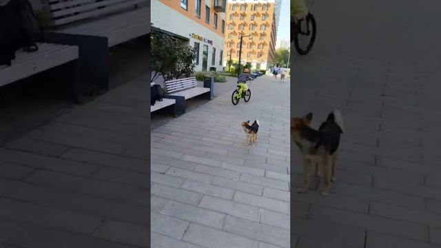 Смотри не задави