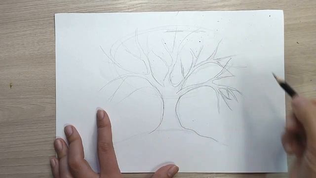 Занятие 3.  Древо Жизни. Часть 1.