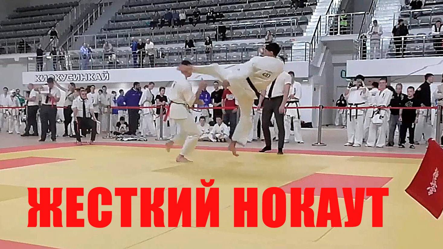 Жесткий нокаут в киокушин каратэ: шокирующие кадры с соревнований