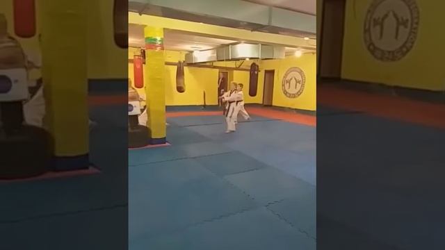Аттестация 18.08.2019г. Тхэквондо