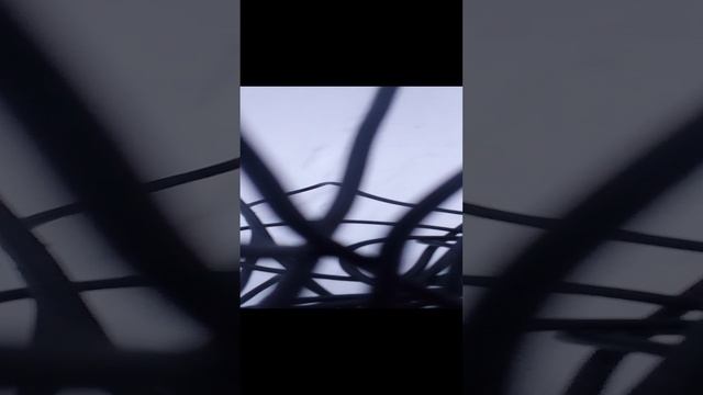 1000023057.mp4