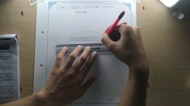 #intermediate  #162  Botany practicals  How to draw cobalt chloride paper method