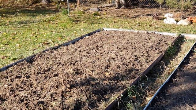 появилось солнце - куры греться и отдыхать после обеда
