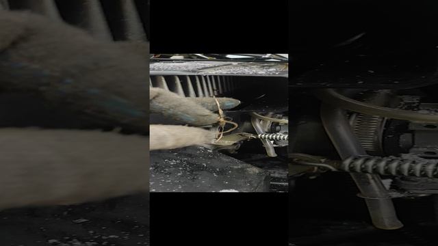 1000458597.mp4