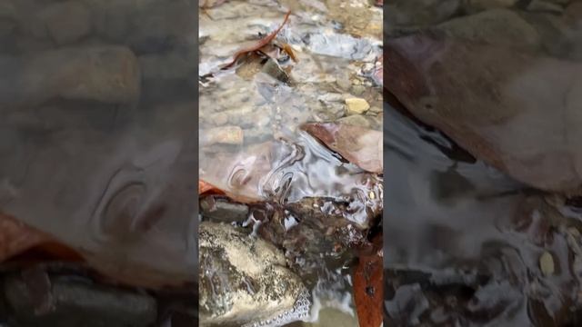 Горячий ключ, декабрь 2024