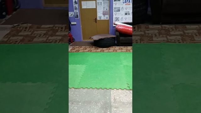 ОбЗор 19.10.24 ПоРядок и ПереСтаНовКа в Зале ФВСА. СКК "Вместе"