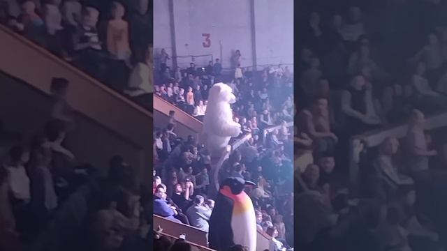 1000020513.mp4