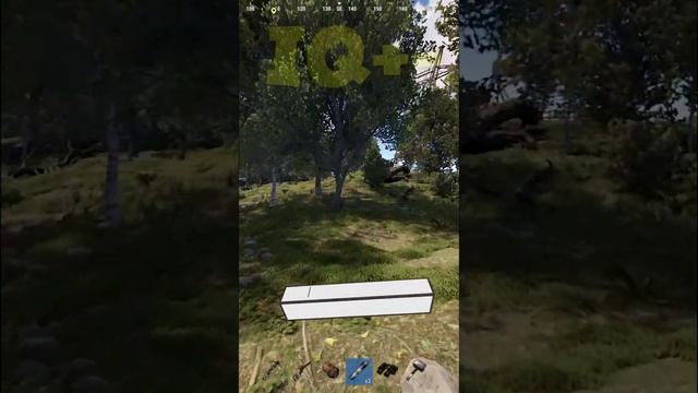 ТАМ один из них с ПИС..НОМ был в игре РАСТ / RUST #rust #раст #funny  #shortsrust #shorts #short