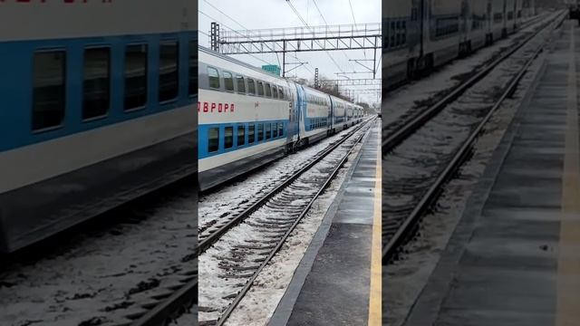 Электровоз ЭП2К-501 (ТЧЭ-8) со скоростным фирменным поездом "Аврора" №741У Санкт-Петербург - Москва.