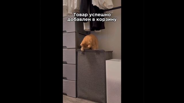 Корзина