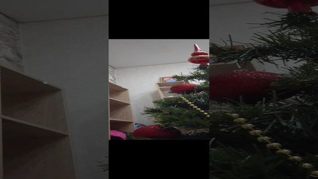 1000000547.mp4