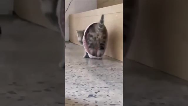 Когда тебе купили одежду на вырост