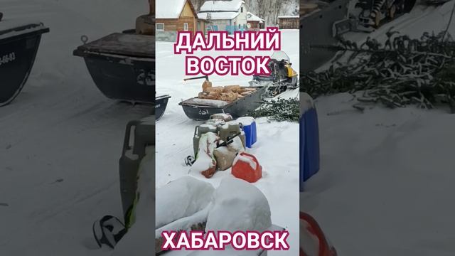 25 февраля 2024 г.