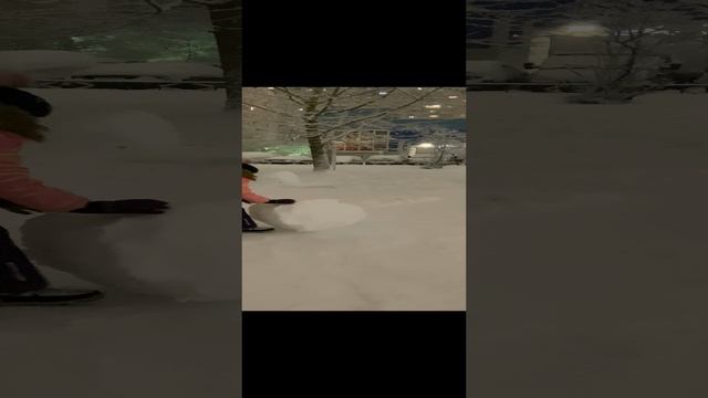 Снеговик в Питере