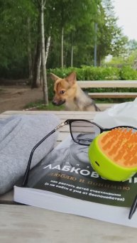 Моя Агата 🐕🦺