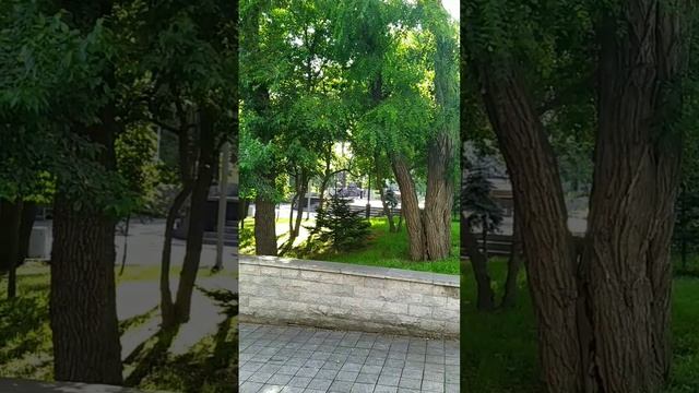 Адмиральский сквер.