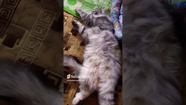 Кузьма